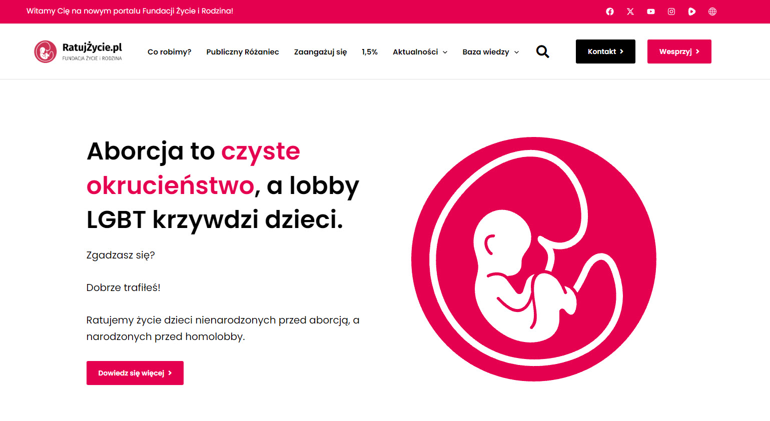 Różnice między fundacją a stowarzyszeniem pro-life: którą formę prawną wybrać?