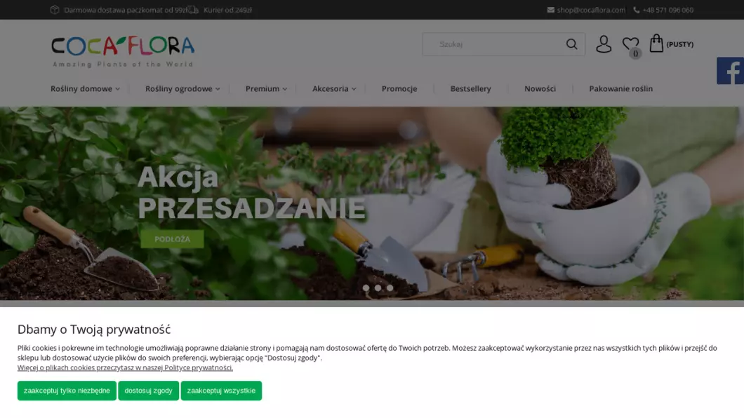 Zrzut ekranu strony